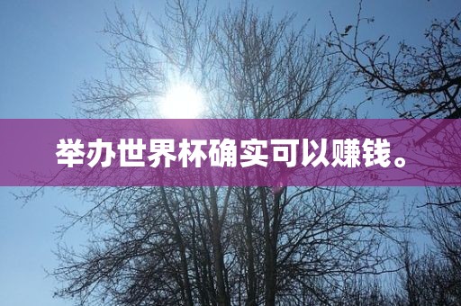 举办世界杯确实可以赚钱。眉山市正发家政服务有限公司