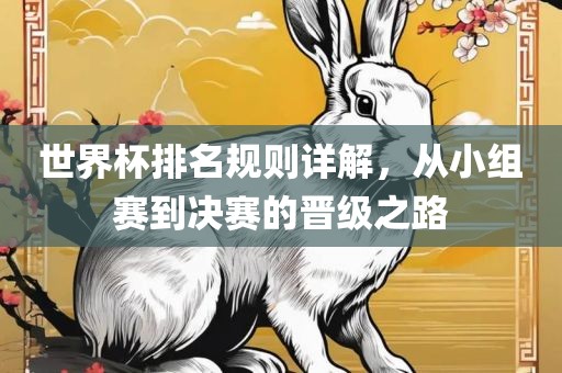 世界杯排名规则详解，从小组赛到决赛的晋级之路眉山市正发家政服务有限公司