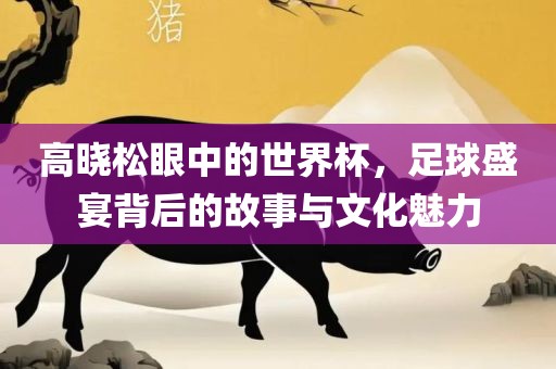 高晓松眼中的世界杯，足球盛宴背后的故事与文化魅力眉山市正发家政服务有限公司