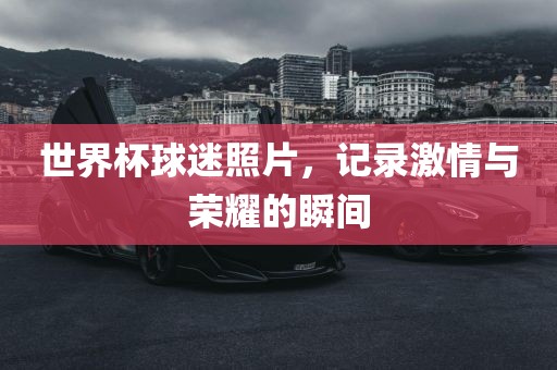 世界杯球迷照片，记录激情与荣耀的瞬间