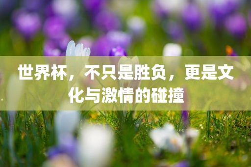 世眉山市正发家政服务有限公司界杯，不只是胜负，更是文化与激情的碰撞