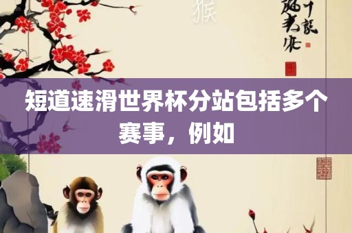 短道速滑世界杯分站包括多个赛事，例如