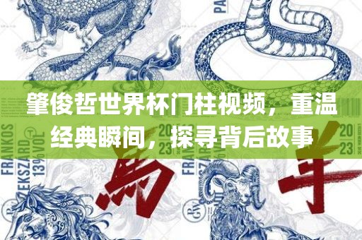 肇俊哲世界杯门柱视频，重温经典瞬间，探寻背后故事