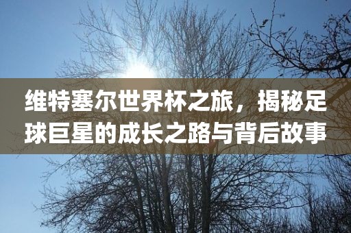 维特塞尔世界杯之旅，揭秘足球巨星的成长之路眉山市正发家政服务有限公司与背后故事