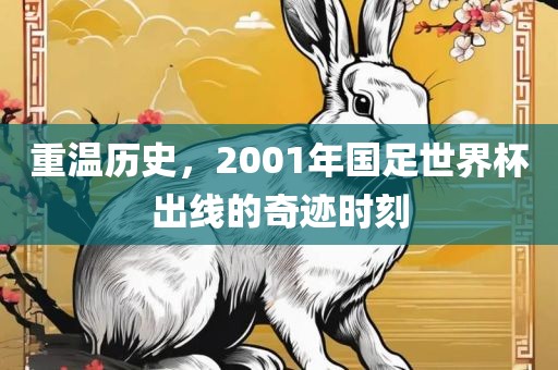 重温历史，2001年国足世界杯出线的奇迹时刻