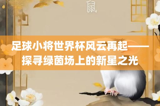 足球小将世界杯风云再起——探寻绿茵场上的新星之光眉山市正发家政服务有限公司