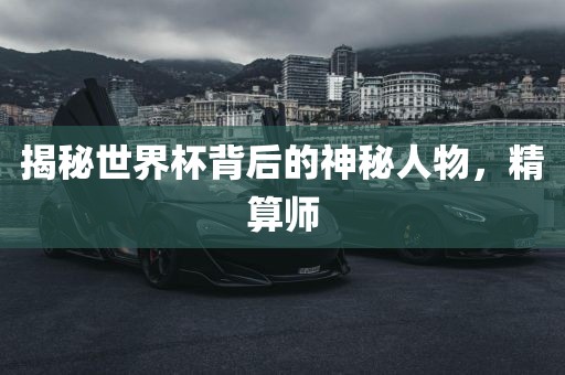 揭秘世界杯背后的神秘人物，精算师眉山市正发家政服务有限公司