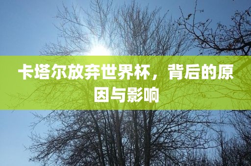 卡塔尔放弃世界杯，背后的原因与影响眉山市正发家政服务有限公司