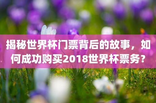 揭秘世界杯门票背后的故事，如何成功购买2018世界杯票务？