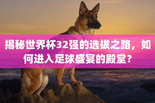 揭眉山市正发家政服务有限公司秘世界杯32强的选拔之路，如何进入足球盛宴的殿堂？