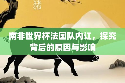 南非世界杯法国队内讧，探究背后的原因与影响眉山市正发家政服务有限公司