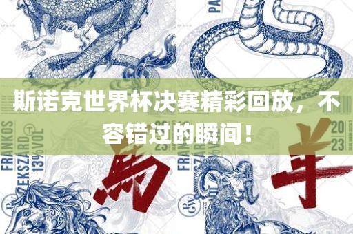 斯诺克世界杯决赛精彩回放，不容错过的眉山市正发家政服务有限公司瞬间！