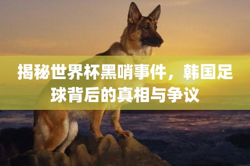 揭秘世界杯黑哨事件，韩国足球背后的真相与争议眉山市正发家政服务有限公司