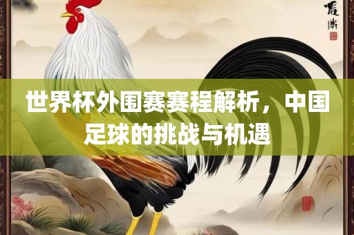 世界杯外围赛赛程解析，中国足球的挑战与机遇眉山市正发家政服务有限公司
