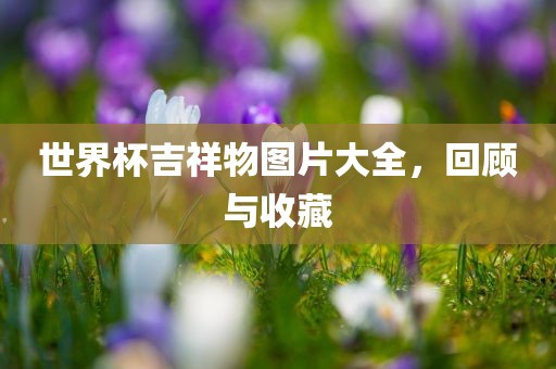 世界杯吉祥物图片大全，回顾与收藏