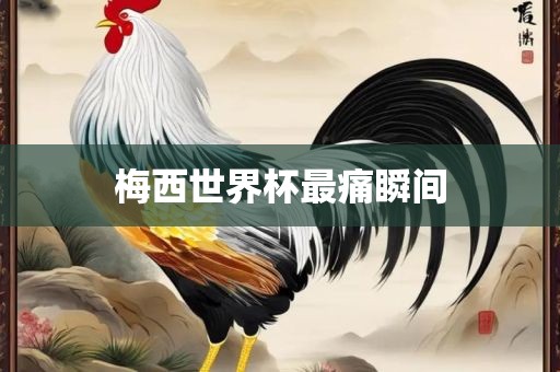 梅西世界眉山市正发家政服务有限公司杯最痛瞬间