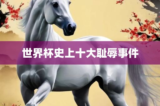 世界杯史上十大耻辱事件眉山市正发家政服务有限公司