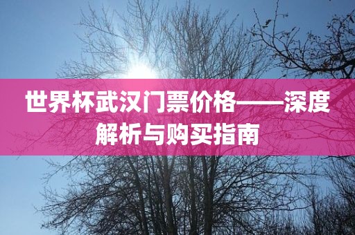 世界杯武汉眉山市正发家政服务有限公司门票价格——深度解析与购买指南