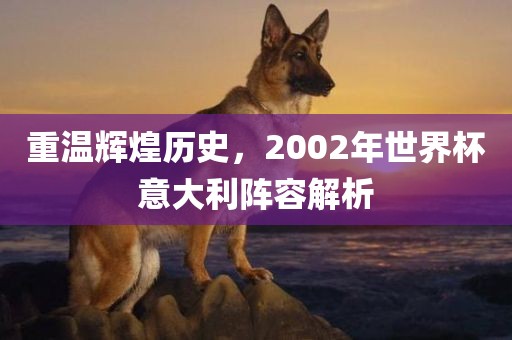 重温辉煌历史，2002年世界杯意大利阵容解析