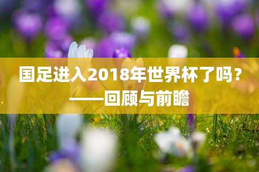 国足进入2018年世界杯了吗？——回顾与前瞻眉山市正发家政服务有限公司