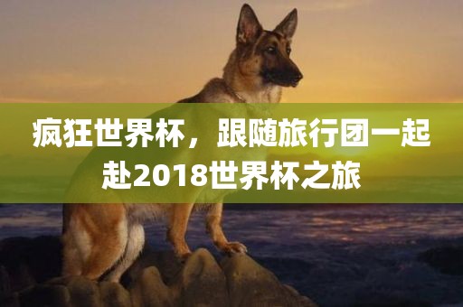 疯狂世界杯，跟随旅行团一起赴2018世界杯之旅眉山市正发家政服务有限公司