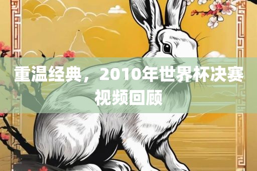 重温经典，2010年世界杯决赛视频回顾