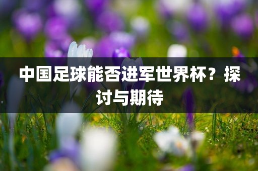 中国足球能否进军世界杯？探讨与期待眉山市正发家政服务有限公司