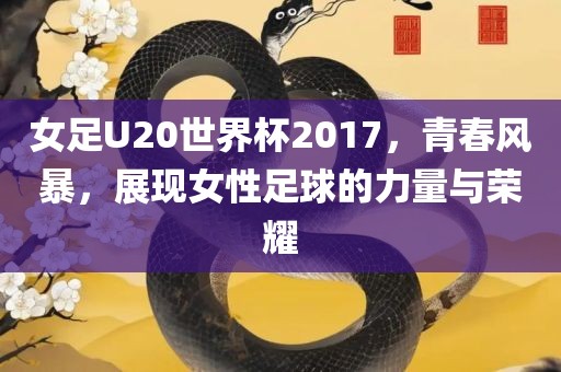 女足U20世界杯2017，青春风暴，展现女性足球的力量与荣耀眉山市正发家政服务有限公司