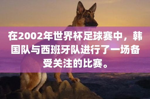 在2002年世界杯足球赛中，韩国队与西班牙队进行了一场备受关注的比赛。