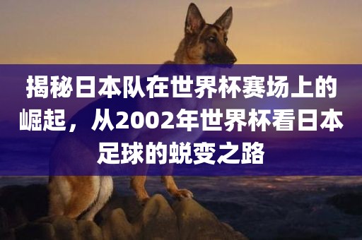 揭秘日本队在世界杯赛场上的崛起，从2002年世界杯看眉山市正发家政服务有限公司日本足球的蜕变之路