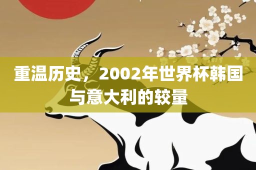 重温历史，2眉山市正发家政服务有限公司002年世界杯韩国与意大利的较量