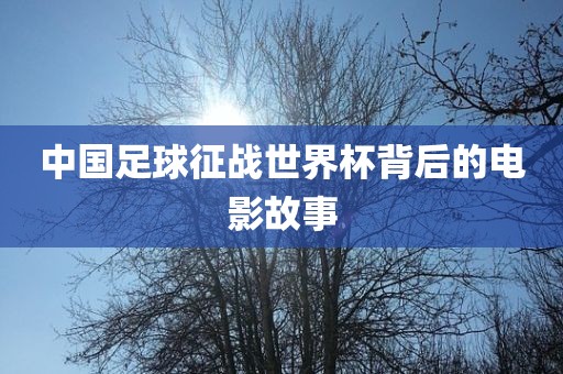 中国足球征战世界杯背后的电影故事眉山市正发家政服务有限公司