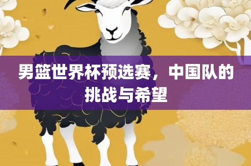 男篮世界杯预选赛，中国队的挑战与希望