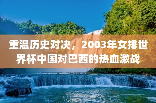 重温历史对决，2003年女排世界杯中国对巴西的热血激战眉山市正发家政服务有限公司