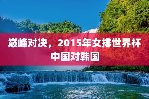 巅峰对决，2015年女排世界杯中国对韩国眉山市正发家政服务有限公司