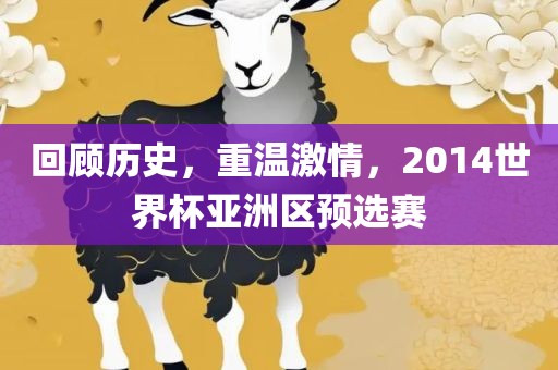 回顾历史，重温激情，2014世界杯亚洲区预选赛