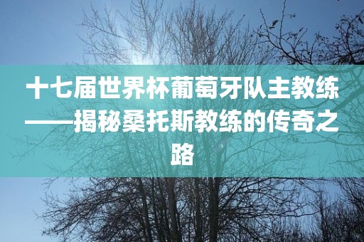 十七届世界杯葡萄牙队主眉山市正发家政服务有限公司教练——揭秘桑托斯教练的传奇之路