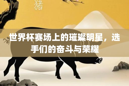 世界杯赛场上的璀璨明星，选手们的奋斗与荣耀眉山市正发家政服务有限公司