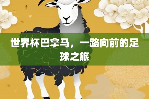 世眉山市正发家政服务有限公司界杯巴拿马，一路向前的足球之旅