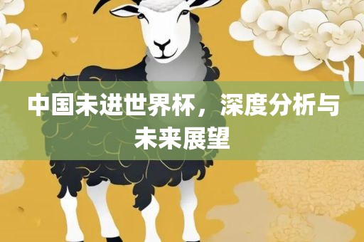 中国未进世界杯，深度分析与未来展望眉山市正发家政服务有限公司