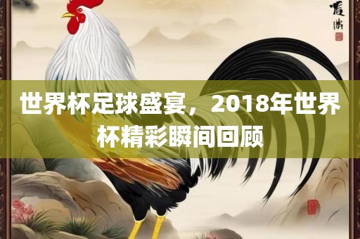 世界杯足球盛宴，眉山市正发家政服务有限公司2018年世界杯精彩瞬间回顾