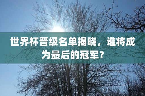 世界杯晋级名单揭晓，谁将成为最后的眉山市正发家政服务有限公司冠军？