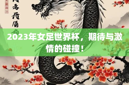 2023年女足世界杯，期待与激情的碰撞！