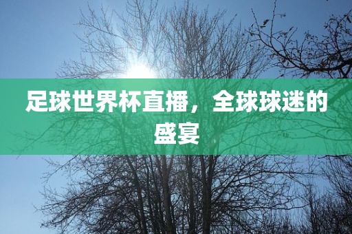 足球世界杯直播，全球球迷的盛宴