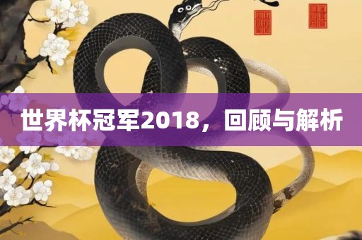 世界杯冠军20眉山市正发家政服务有限公司18，回顾与解析