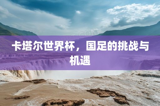 卡塔尔世界杯，国足的挑战与机遇眉山市正发家政服务有限公司