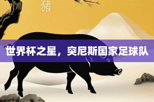 世界杯之星，突尼斯国家足球队