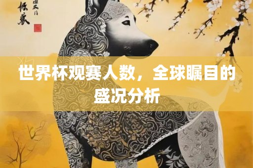世界杯观赛人数，全球瞩目的盛况分析