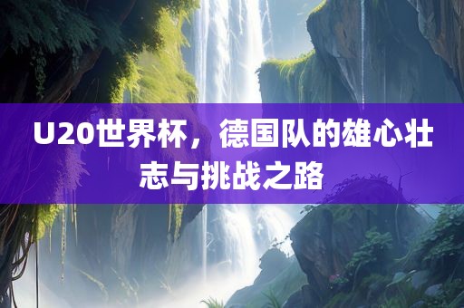 U20世界杯，德国队的雄心壮志与挑战之路