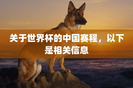 中国赛程